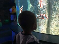 -福州罗源湾海洋世界旅游区