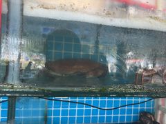 -阿弟特色海鲜餐厅·大排档(平潭店)