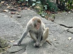 -黔灵山公园