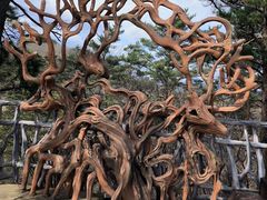 -五女山景区