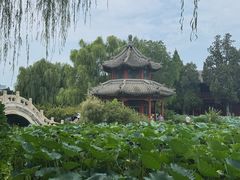 -莲池书院博物馆