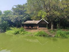-扬州市茱萸湾风景区