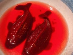 锦鲤鸭血-杨家火锅(国美店)