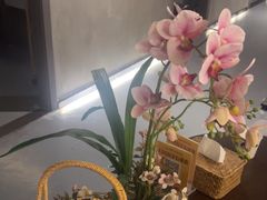 -施奈儿.洗头頭療.按摩SPA.采耳(上梅林店)