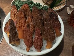 -蘑界·野生菌火锅(深业上城店)