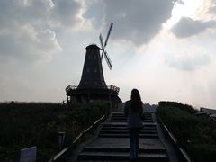 -大塘金香草谷