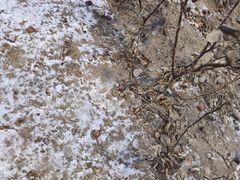 -物美超市(通州果园店)