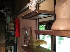 -胡桃里音乐酒馆(万科城市广场店)