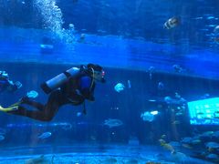 -华夏文旅海洋公园