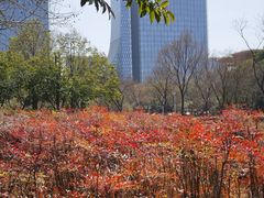 -白塘生态植物园