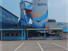 -海合安青岛极地海洋公园