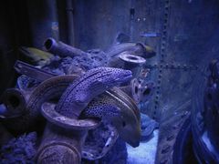 -成都浩海立方海洋公园