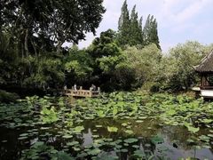 -上海醉白池公园