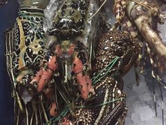 -Bamboo Bar & Grill Restaurant