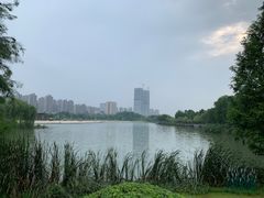 -滨湖塘西河公园