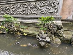 -普陀山风景名胜区-法雨禅寺