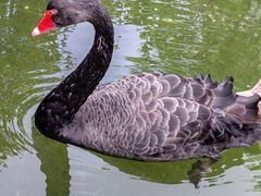 -三里河公园