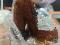 -福鼎褚翅