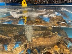 家烧小姐鱼-丁字口海鲜热炒·烧烤大排档