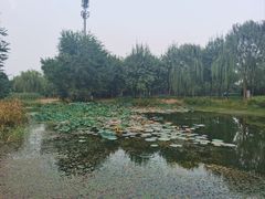 -北坞公园
