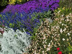 -金陵花卉交易市场