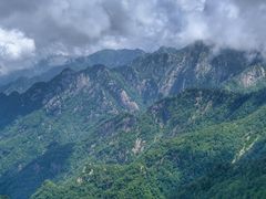 -朱雀国家森林公园