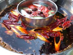 -金鼎雪山牦牛杂火锅(理县总店)