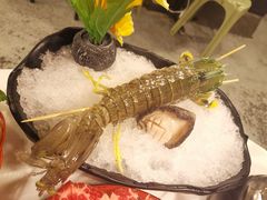 -鲜入围煮花胶鸡海鲜火锅