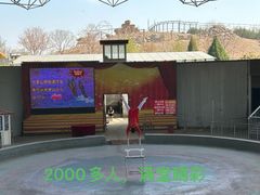 -石家庄市动物园