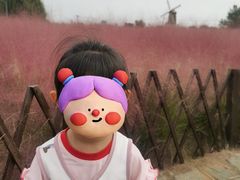 -羊亭河湿地公园