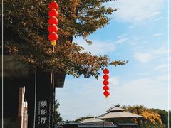 -大湾区中央湿地公园