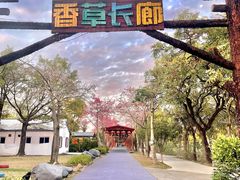 -广东花都香草世界旅游度假区