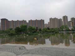 -木塔寺遗址生态公园