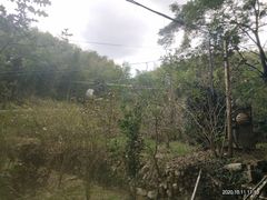 -宁波浙东大竹海景区