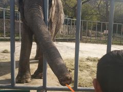 -西安秦岭野生动物园