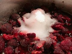 -野人牧坊Gelato(天津南开大悦城店)