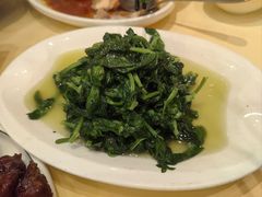 豆苗-粤味馆(黄河路店)