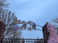 -桃花堤公园