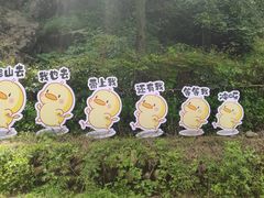 -终南山南五台景区