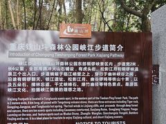 -铁山坪森林公园