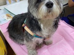 -北京观赏动物医院·24小时大型综合·猫专科·异宠专科