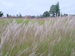 -汉长安城未央宫国家考古遗址公园