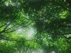 -成都中医药大学(温江校区)