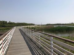 -春花秋色城市公园