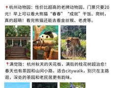 -西湖文化广场