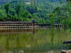 -龙头寺公园