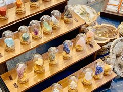 -天津梅江会展中心