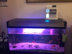 -智慧盲人按摩艾灸-颈肩腰膝疼痛调理(浦东店)