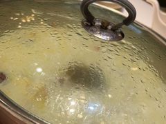 -洪氏嗨捞·猪肚鸡火锅(阳光天地店)