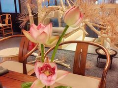 -苗品记茶馆(IFS国金中心店)